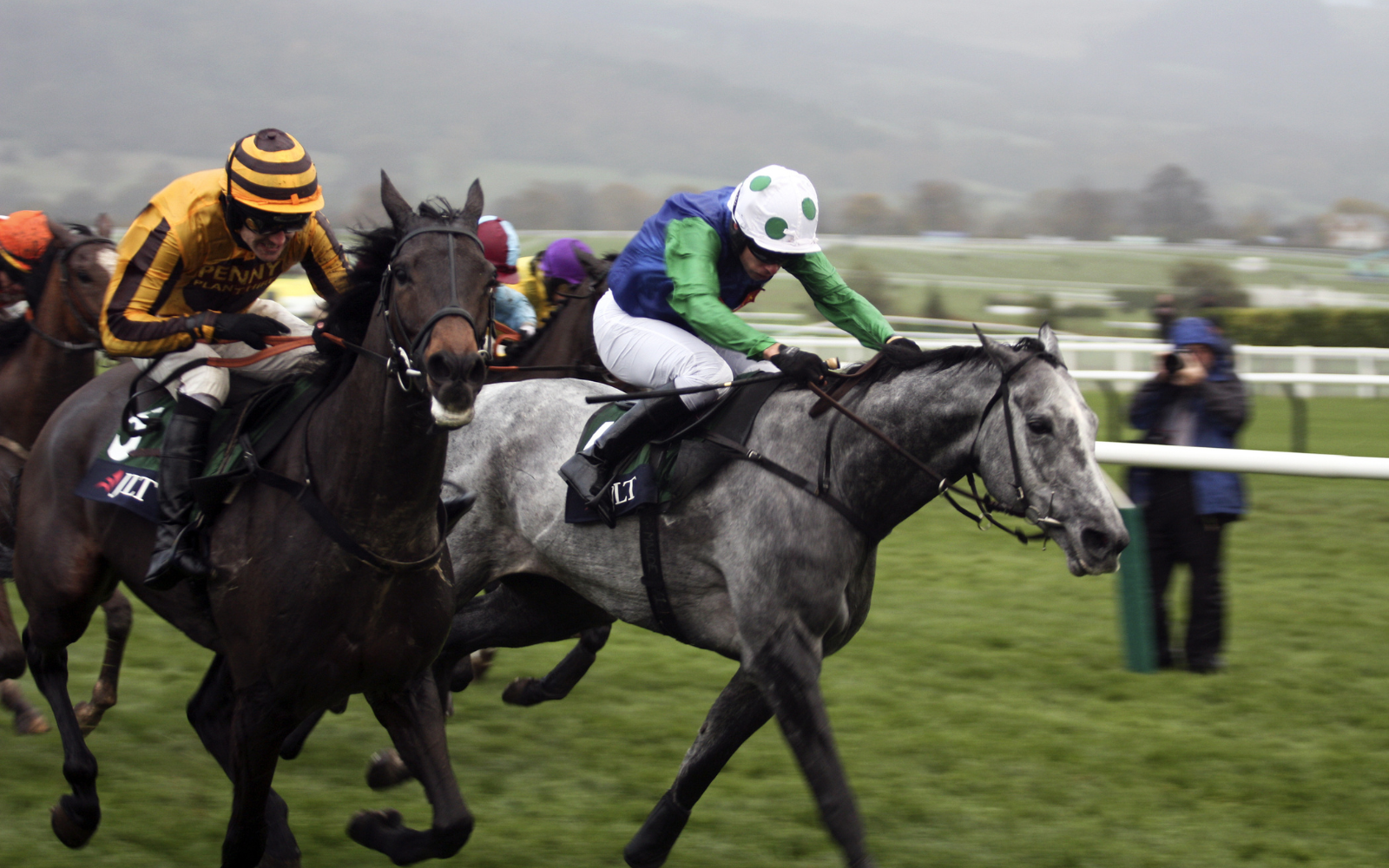 Cheltenham Festival Corporate Hospitality 2025 VIP Packages & Experiences